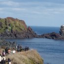 섭지코지 이미지