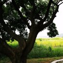 강변쉼터 이미지