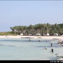 씨유제주금능해변점 | 제주여행 바다 추천 제주 금능해수욕장 해변 근처 잔물결 카페