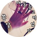청담히 이미지