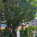 신유 묘역 이미지