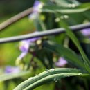 남사리민박 이미지