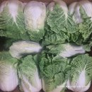 자연대로4 이미지