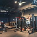 머슬엑스짐 이미지