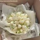 (주)엠서브 | [공지] [부평] 웨스턴팰리스 밝은홀 팰리스홀 26년 1월 10일 토요일 본식 후기