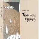 조남익 시집 [걸어다니는 백두대간] (인간과 문학사. 2016.05.30) 이미지