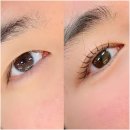 태백직업전문학원 | 분당미용학원 국제직업전문학교 용인국비미용학원 후기