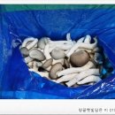 예덴농원 이미지