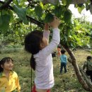 샘내어린이집 이미지