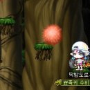 메이플 티스토리