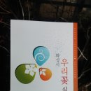 앵글러실내낚시터 | 2016년 2월 21일 (일) 남양호 배스루어 조행기 &#39;마실 삼아 나선 남양호 저녁짬낚&#39;