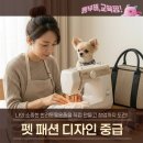 패션디자인(중급) 이미지