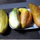 정감이간다 이미지