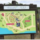 강동로5-35 | 영주호오토캠핑장, 깔끔한 대형 숲속 경북캠핑장 사이트소개