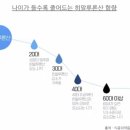 블루밍뷰티 - 구례군 로터리길 15 | 블루밍뷰티