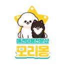 모리몽 네이버블로그