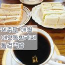 동경약국 | 제주도 애월 애견동반 카페 동경책방 내돈내산 솔직후기