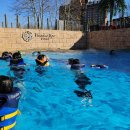 캠프도고 이미지