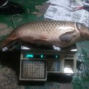 성북낚시터 이미지