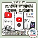 라이트광고 | KT 유튜브 프리미엄 라이트 혜택 총정리 유튜브 광고 없이 보는 방법과 요금제 비교 후기