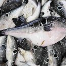 복국집뽁찌 이미지