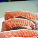 싱싱참치 이미지