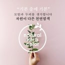 천연헤어염색 네이버블로그