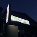 목포바지선포인트선상 | 목포 도다리 선상낚시 야타피싱 내돈내산 솔직후기 (선비, 회 손질, 3월 조황 총정리!!)