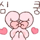 수줍은언니네 이미지