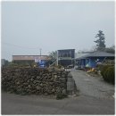 누렁소앤도새기