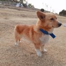 하늘꽃민박 이미지