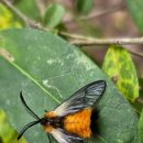 한스행정사사무소 이미지