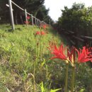 가오근린공원 이미지