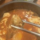 오로지생태한마리 이미지