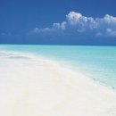 꿈꾸는바다 이미지