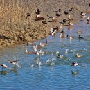 하단동179 이미지