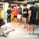 국제UFC태권도