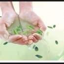 한솔메디칼 이미지