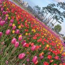 블루핸즈 | 공임나라 미션오일 교체 후기 블루핸즈보다 공임비 쌀까?