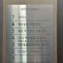 서울종합동물병원방배 | 10살 강아지 유선종양 진단부터 수술까지｜병원 선택과 실제 후기 (w/예은동물의료센터)