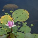 백련가든 이미지