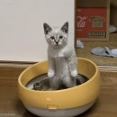 서울병원 개방화장실 이미지