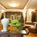 우리분재 이미지