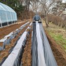 협동농약사 이미지