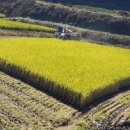 미호농장 이미지