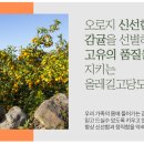 올레길하우스