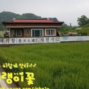 학촌마을 이미지