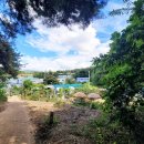 서봉산 산림욕장 2 이미지