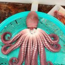 한마음직판장 이미지