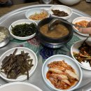 향촌손칼국수 - 원주시 장미공원길 71-5 | 향촌손칼국수